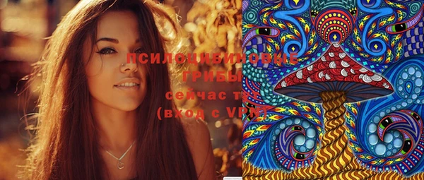 молекула духа Алзамай
