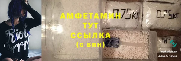 ешки Алексин