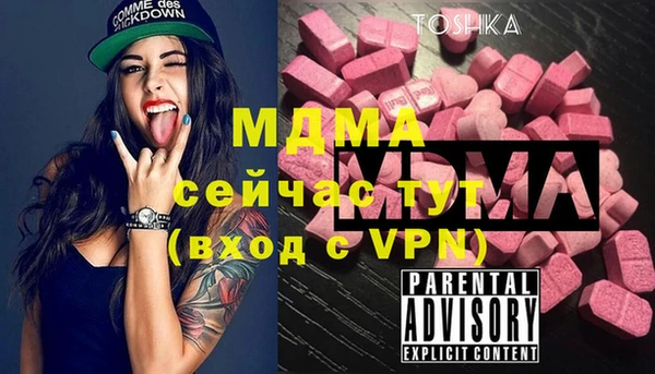 ешки Алексин