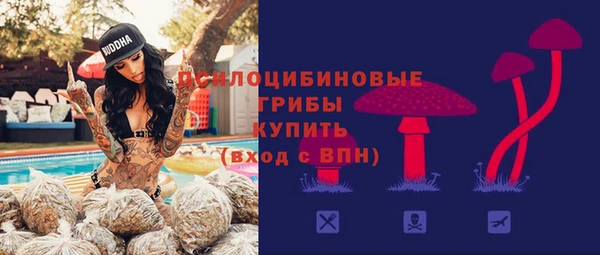 ПСИЛОЦИБИНОВЫЕ ГРИБЫ Алексеевка