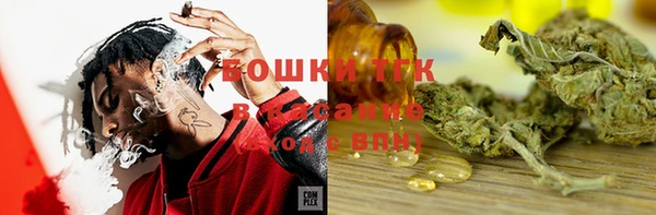 ешки Алексин