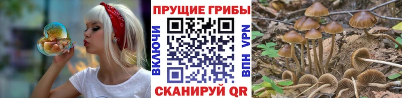 где купить наркоту  Юрьевец  Псилоцибиновые грибы GOLDEN TEACHER 